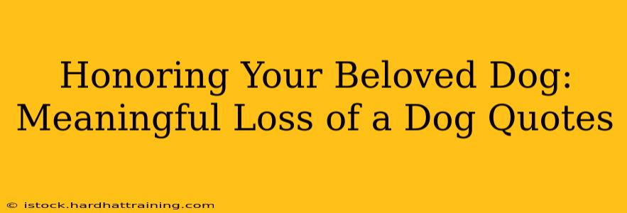 Honoring Your Beloved Dog: Meaningful Loss of a Dog Quotes