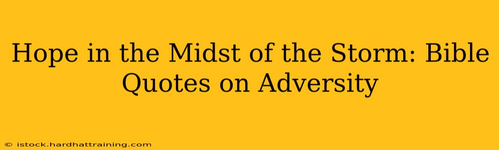 Hope in the Midst of the Storm: Bible Quotes on Adversity