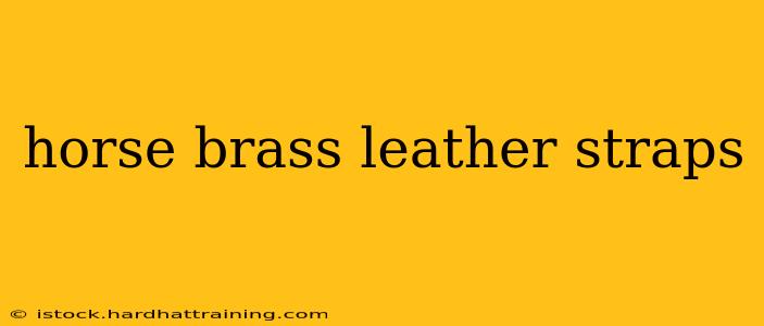 horse brass leather straps