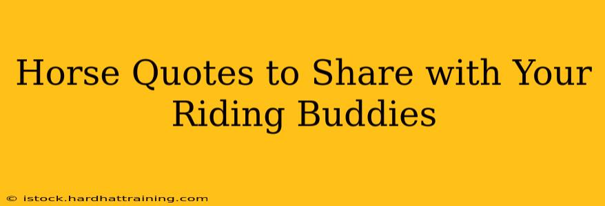 Horse Quotes to Share with Your Riding Buddies
