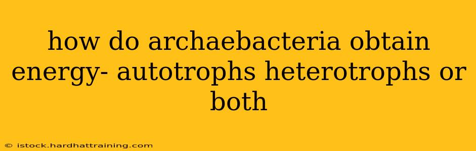 how do archaebacteria obtain energy- autotrophs heterotrophs or both