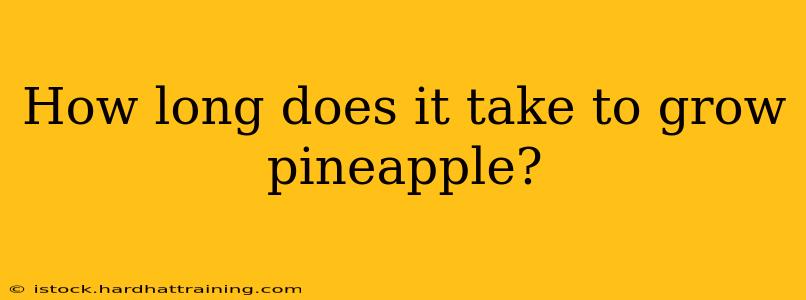 How long does it take to grow pineapple?