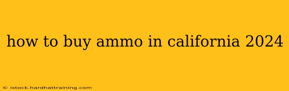 how to buy ammo in california 2024