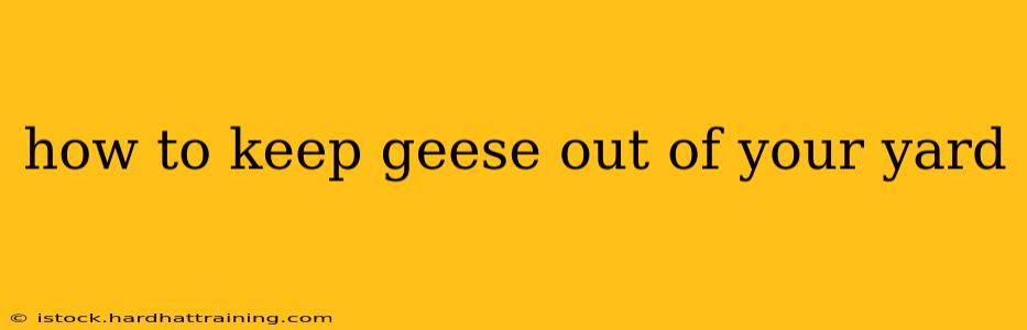how to keep geese out of your yard