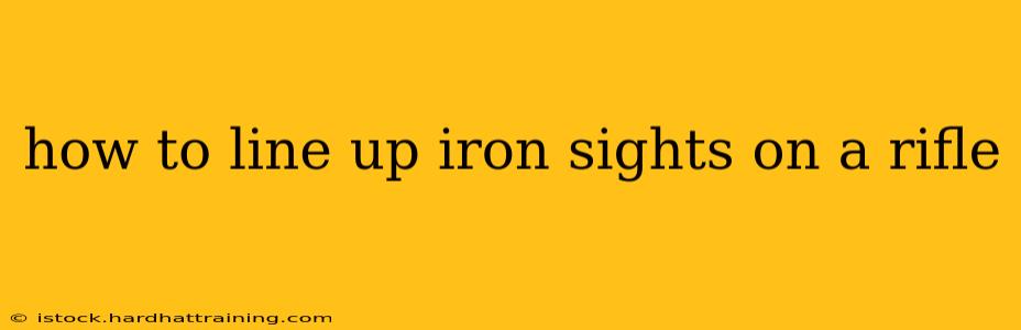 how to line up iron sights on a rifle
