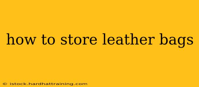 how to store leather bags
