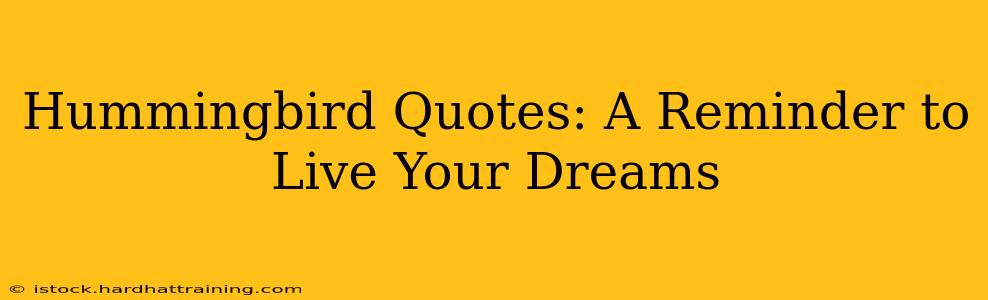 Hummingbird Quotes: A Reminder to Live Your Dreams