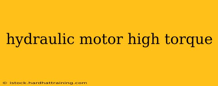 hydraulic motor high torque