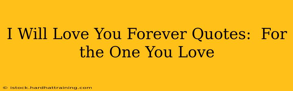 I Will Love You Forever Quotes:  For the One You Love