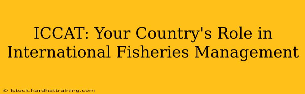 ICCAT: Your Country's Role in International Fisheries Management