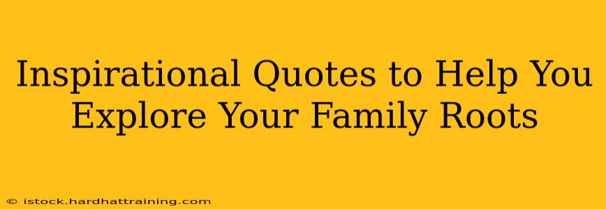 Inspirational Quotes to Help You Explore Your Family Roots