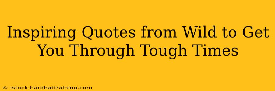 Inspiring Quotes from Wild to Get You Through Tough Times