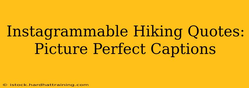 Instagrammable Hiking Quotes: Picture Perfect Captions