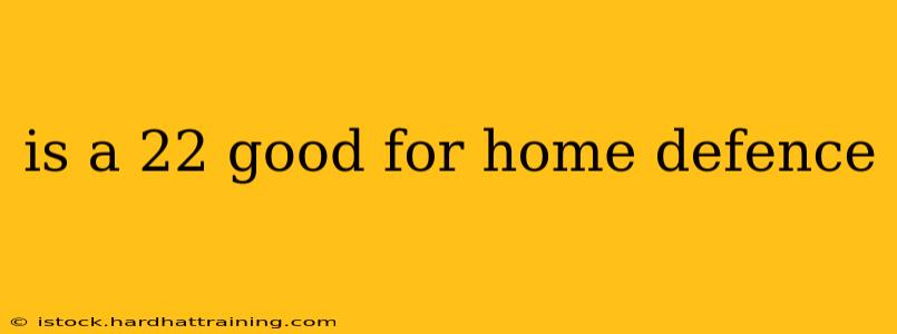 is a 22 good for home defence