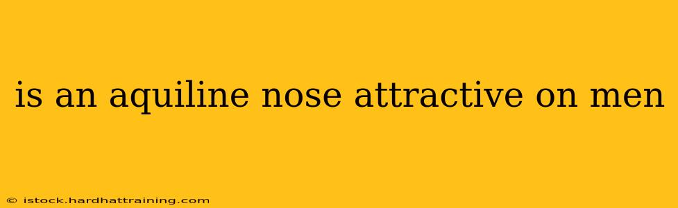 is an aquiline nose attractive on men