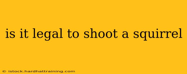 is it legal to shoot a squirrel