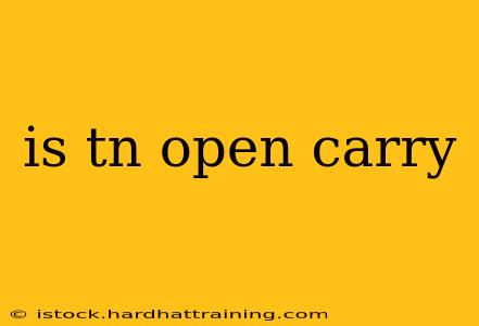 is tn open carry