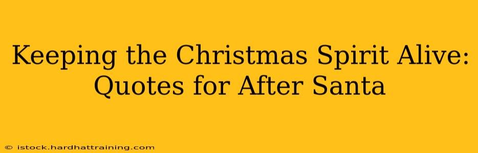 Keeping the Christmas Spirit Alive: Quotes for After Santa