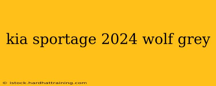 kia sportage 2024 wolf grey
