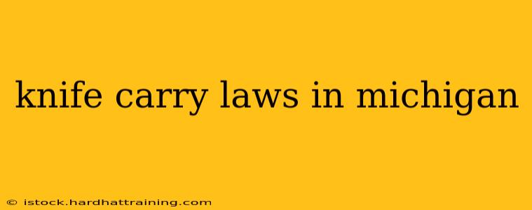 knife carry laws in michigan