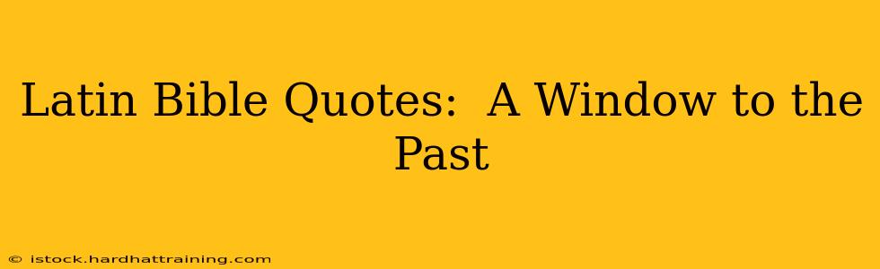 Latin Bible Quotes:  A Window to the Past
