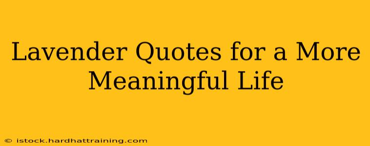 Lavender Quotes for a More Meaningful Life