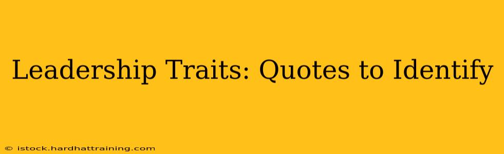 Leadership Traits: Quotes to Identify