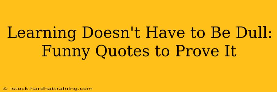 Learning Doesn't Have to Be Dull: Funny Quotes to Prove It