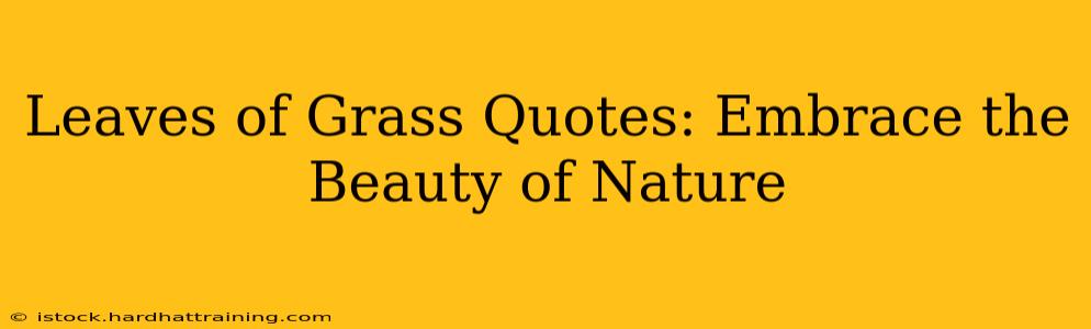 Leaves of Grass Quotes: Embrace the Beauty of Nature