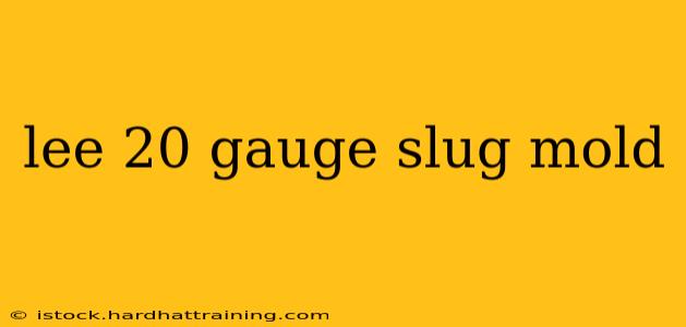 lee 20 gauge slug mold