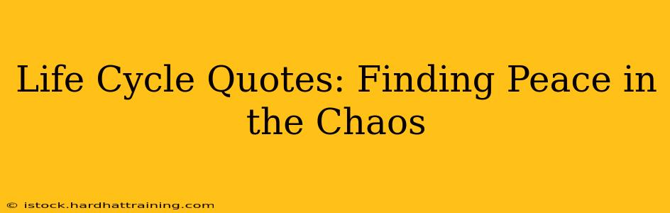 Life Cycle Quotes: Finding Peace in the Chaos