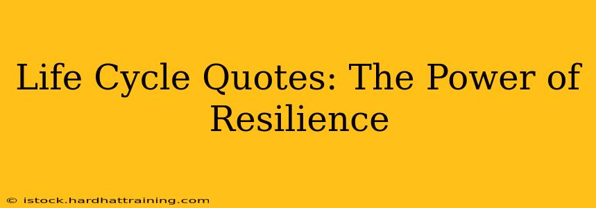 Life Cycle Quotes: The Power of Resilience