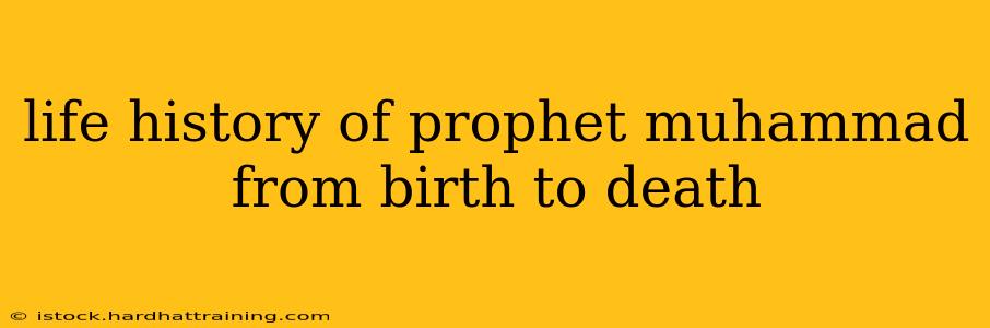 life history of prophet muhammad from birth to death