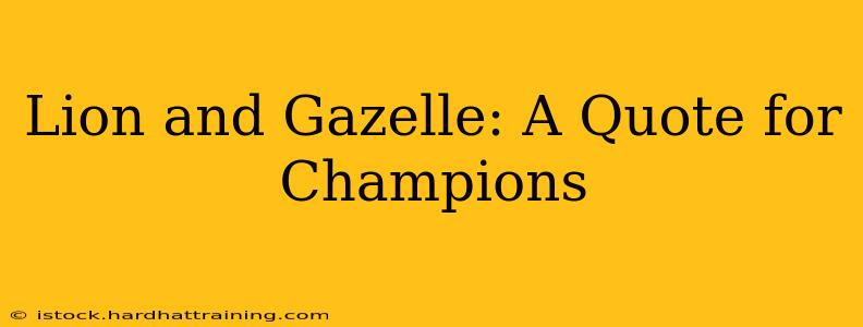 Lion and Gazelle: A Quote for Champions