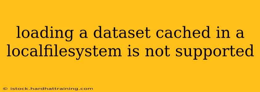 loading a dataset cached in a localfilesystem is not supported