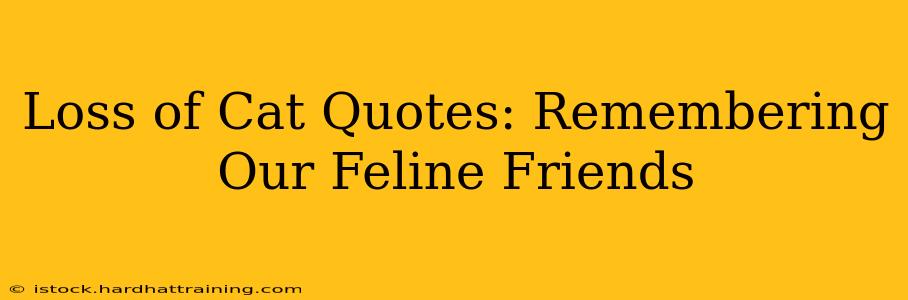 Loss of Cat Quotes: Remembering Our Feline Friends