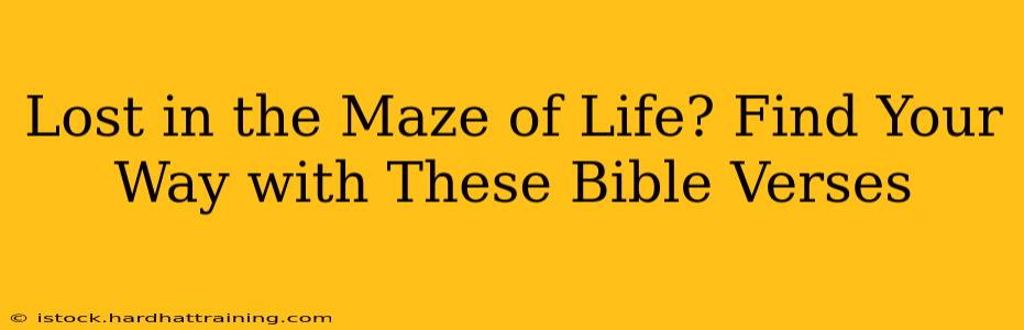 Lost in the Maze of Life? Find Your Way with These Bible Verses
