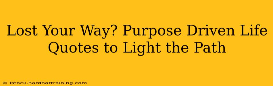 Lost Your Way? Purpose Driven Life Quotes to Light the Path