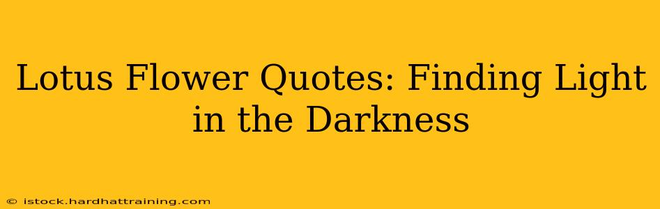 Lotus Flower Quotes: Finding Light in the Darkness