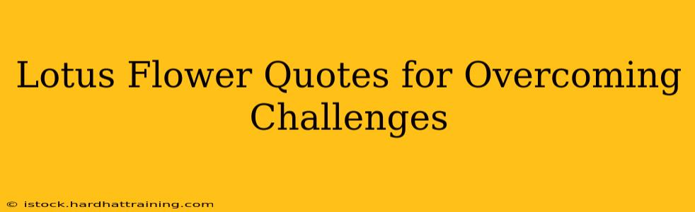 Lotus Flower Quotes for Overcoming Challenges