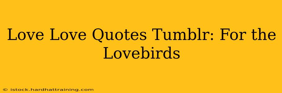 Love Love Quotes Tumblr: For the Lovebirds