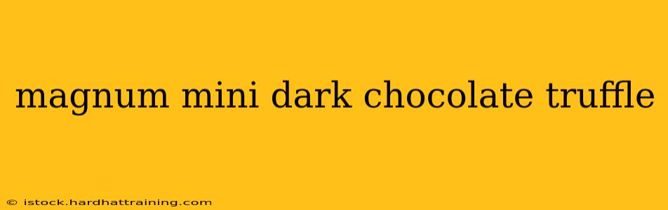 magnum mini dark chocolate truffle