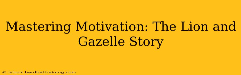 Mastering Motivation: The Lion and Gazelle Story