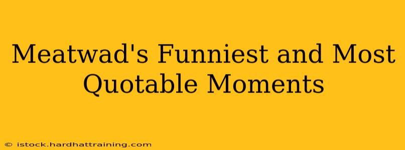 Meatwad's Funniest and Most Quotable Moments