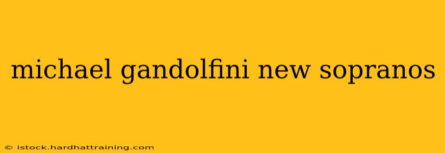 michael gandolfini new sopranos