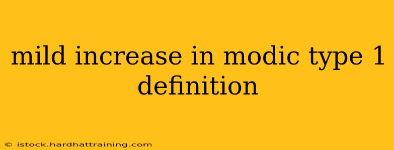 mild increase in modic type 1 definition