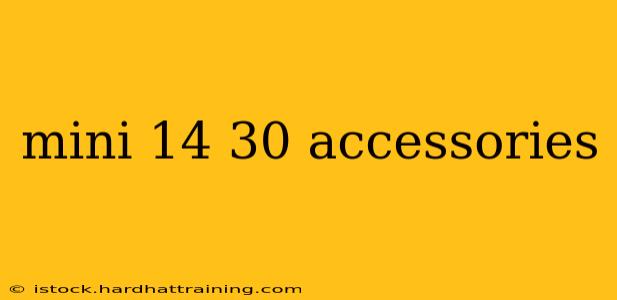mini 14 30 accessories