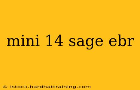 mini 14 sage ebr