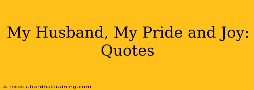 My Husband, My Pride and Joy: Quotes