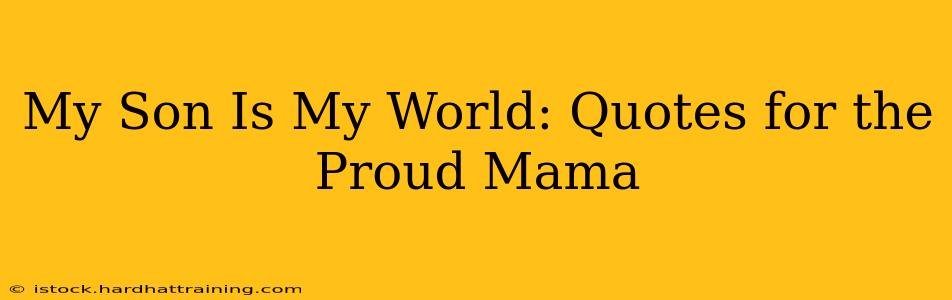 My Son Is My World: Quotes for the Proud Mama